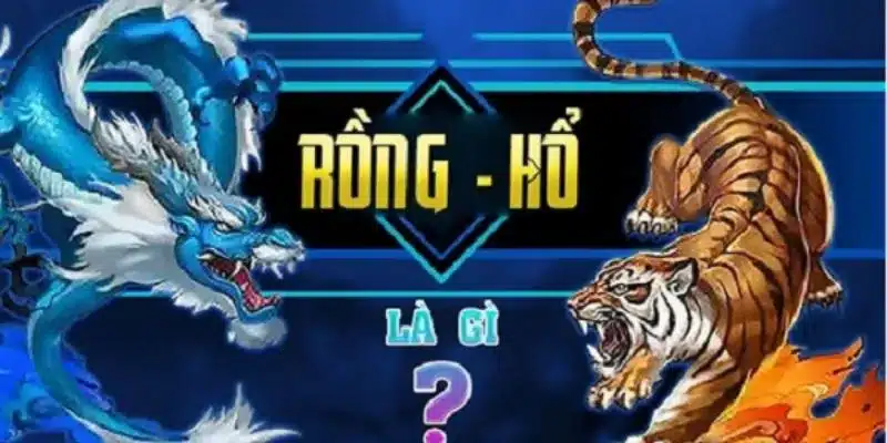 Tổng hợp các loại hình cá cược casino rồng hổ phổ biến 